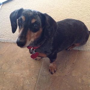 Meet your Posher, Rochelle